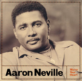 Aaron Neville image on tourvolume.com